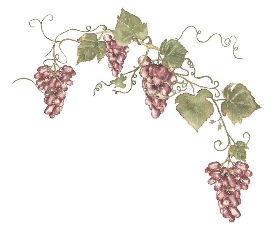 grapes