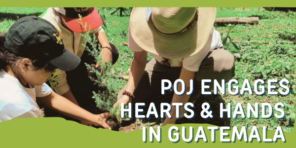 guatemala 25 follow up